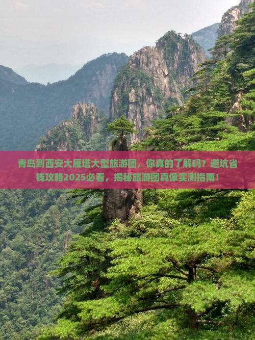 青岛到西安大雁塔大型旅游团