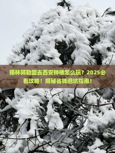 锡林郭勒盟去西安钟楼旅行社