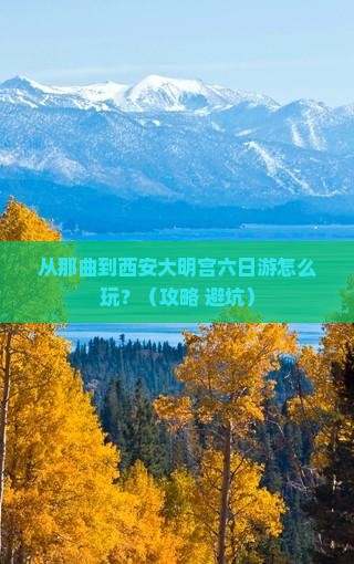 那曲去西安大明宫国家遗址公园六日游