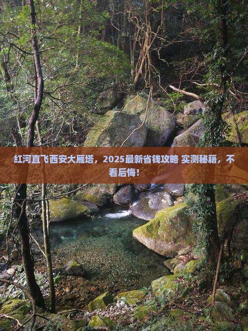 红河去西安大雁塔自由行