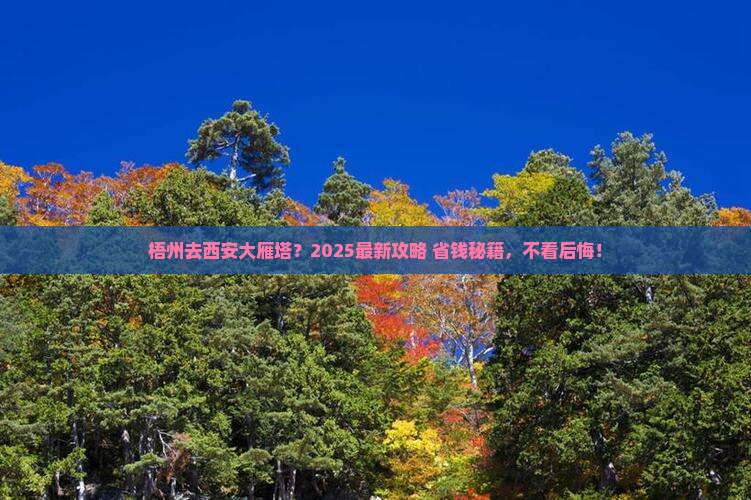 梧州去西安大雁塔哪里玩