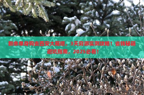 新余去西安大雁塔个人游