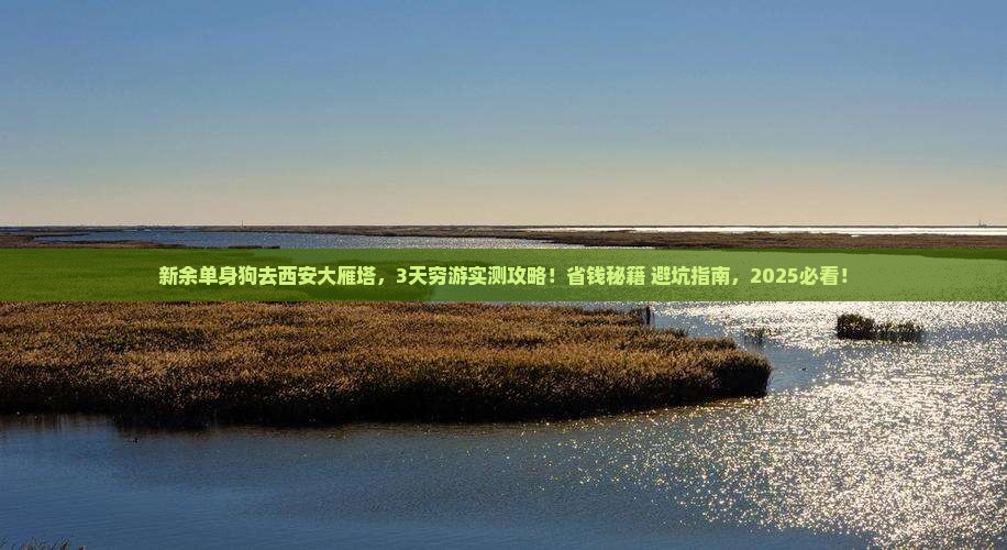 新余去西安大雁塔个人游