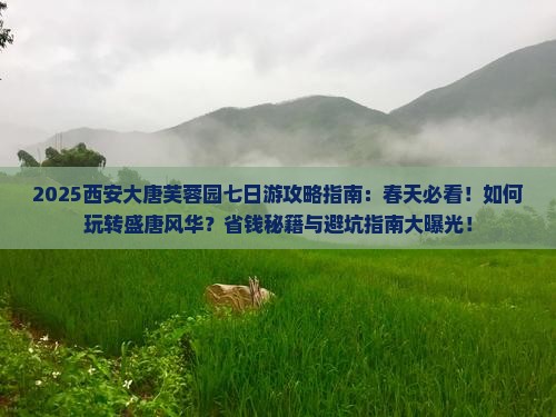 春天去西安大唐芙蓉园七日游