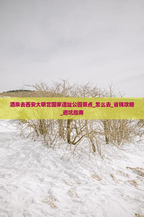 酒泉去西安大明宫国家遗址公园景点