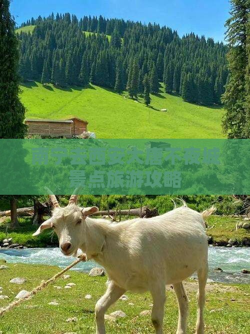 南宁去西安大唐不夜城景点