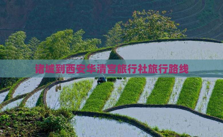 诸城到西安华清宫旅行社