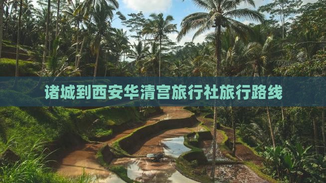 诸城到西安华清宫旅行社