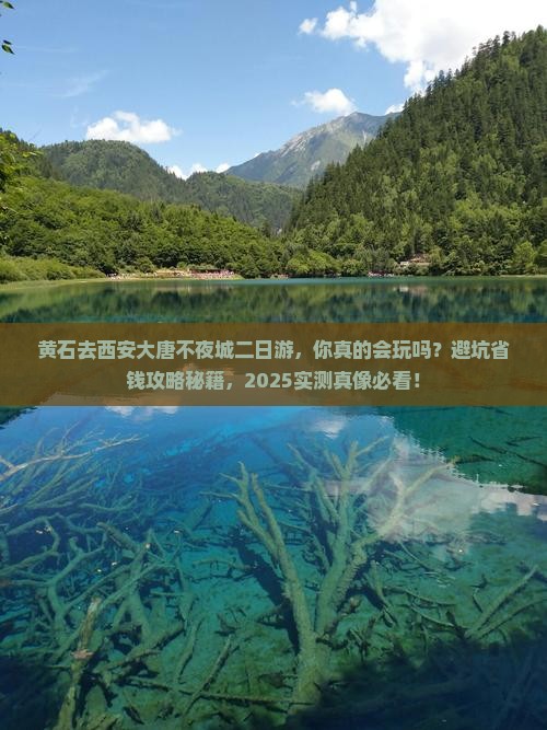 黄石去西安大唐不夜城二日游