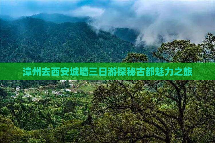 漳州去西安城墙三日游