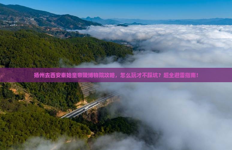 扬州去西安秦始皇帝陵博物院攻略