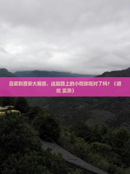 吕梁到西安大雁塔旅游小吃