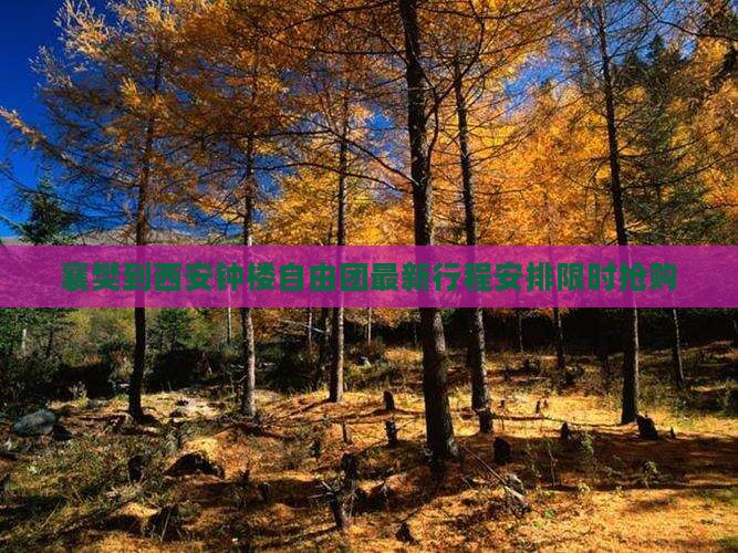 襄樊到西安钟楼自由团