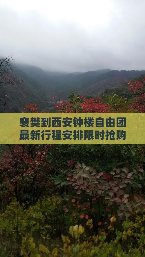襄樊到西安钟楼自由团
