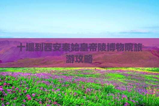 十堰到西安秦始皇帝陵博物院旅游