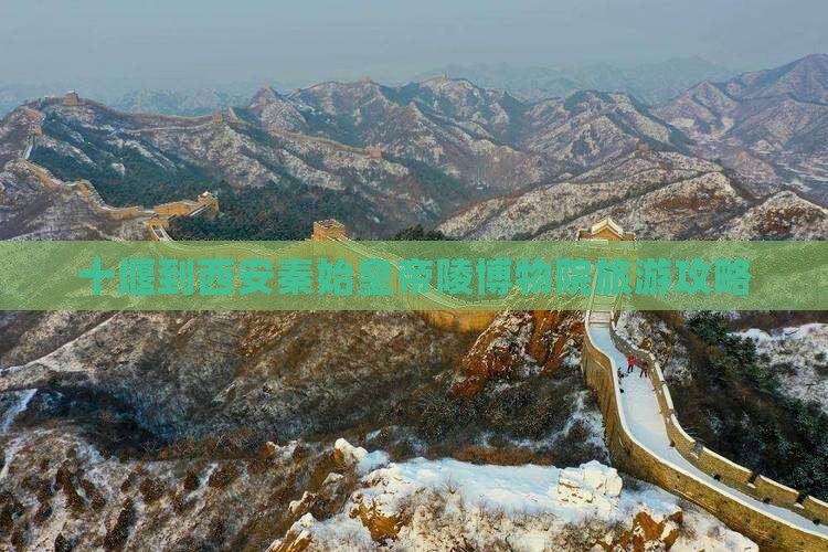 十堰到西安秦始皇帝陵博物院旅游