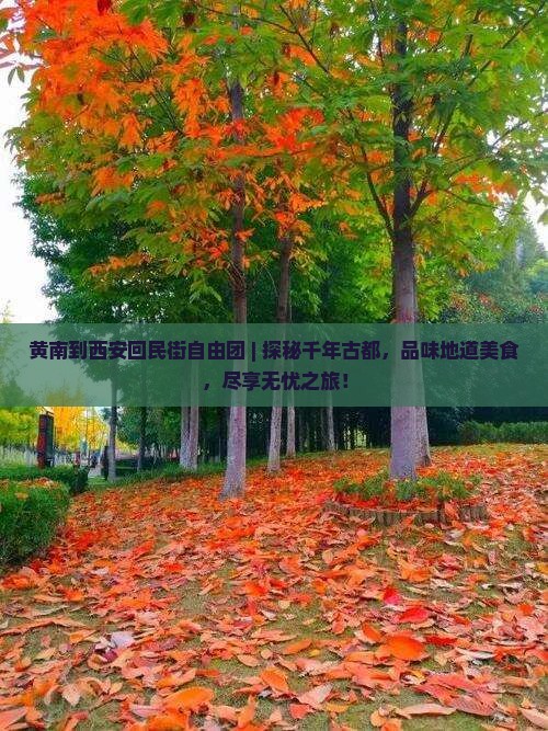 黄南到西安回民街自由团