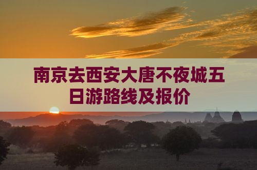 南京去西安大唐不夜城五日游 南京去西安大唐不夜城五日游
