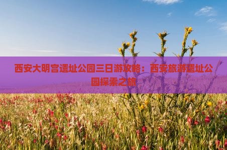 三明去西安大明宫国家遗址公园三日游