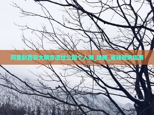 阿里到西安大明宫国家遗址公园个人游
