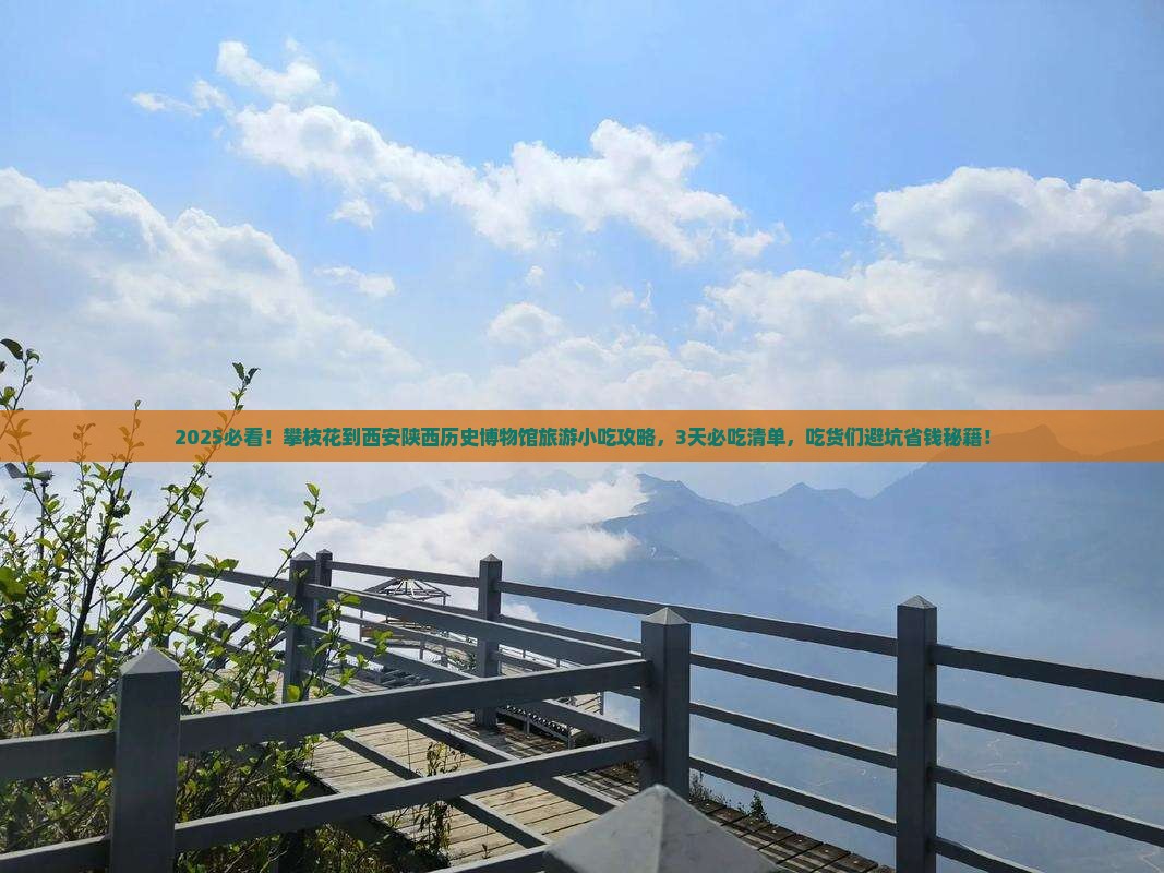 攀枝花到西安陕西历史博物馆旅游小吃