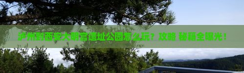 泸州到西安大明宫国家遗址公园哪里玩