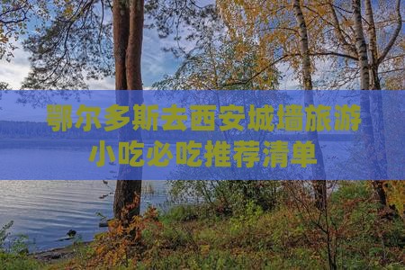 鄂尔多斯去西安城墙旅游小吃