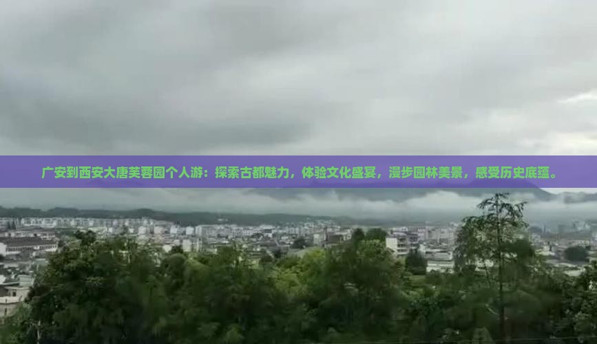 广安到西安大唐芙蓉园个人游