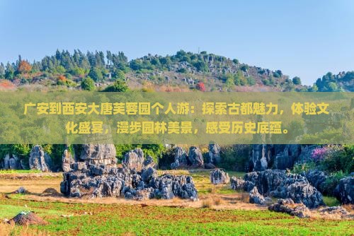 广安到西安大唐芙蓉园个人游
