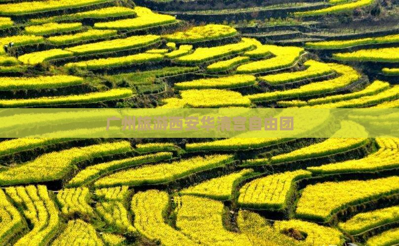 广州去西安华清宫自由团