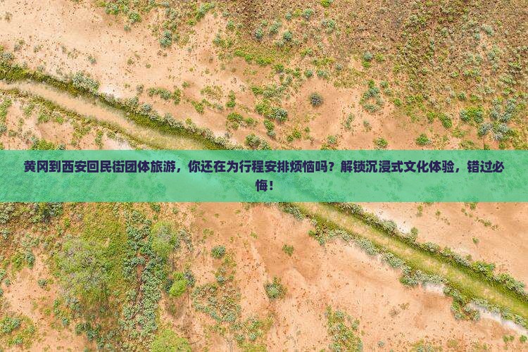 黄冈到西安回民街团体旅游