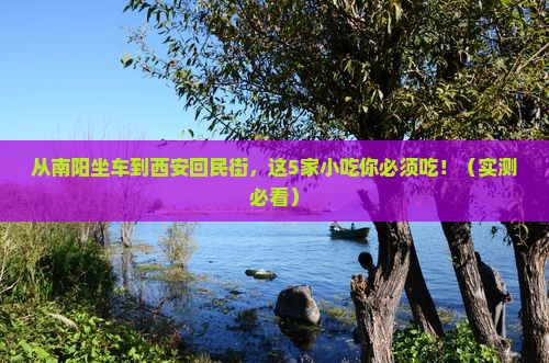 南阳到西安回民街旅游小吃