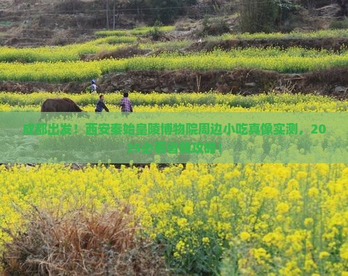 成都到西安秦始皇帝陵博物院旅游小吃