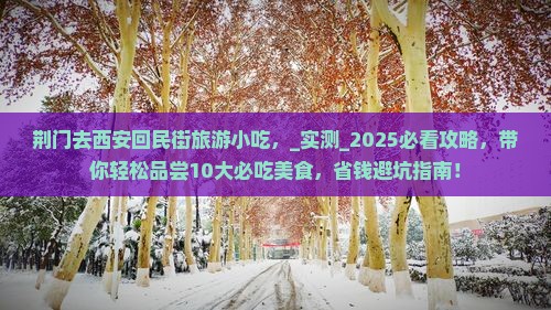 荆门去西安回民街旅游小吃