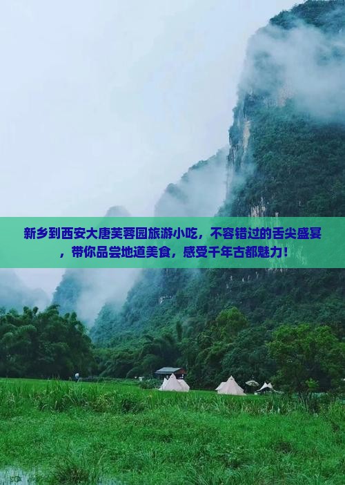 新乡到西安大唐芙蓉园旅游小吃