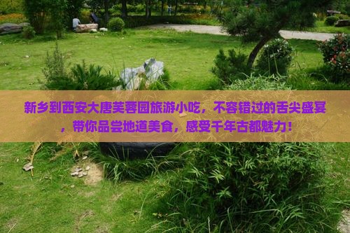 新乡到西安大唐芙蓉园旅游小吃