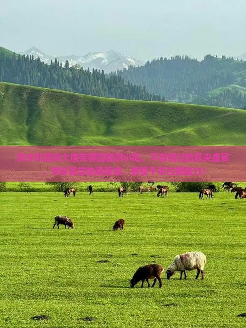 新乡到西安大唐芙蓉园旅游小吃