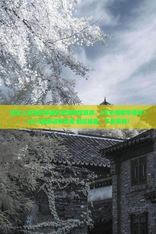 张北到西安陕西历史博物馆旅游