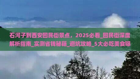 石河子到西安回民街景点