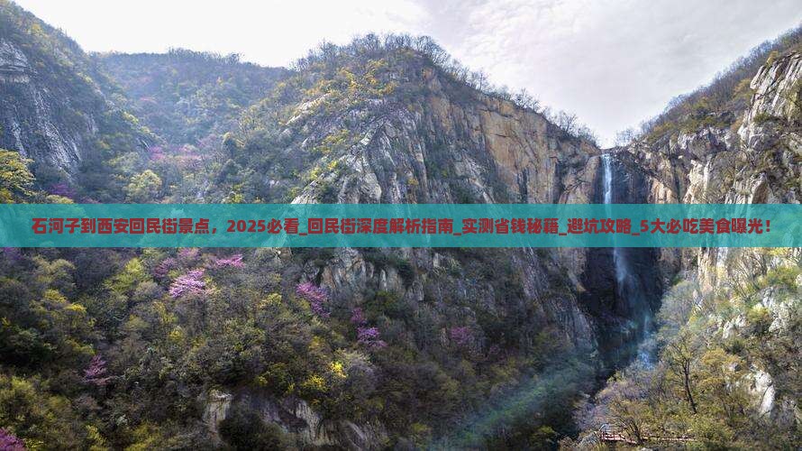 石河子到西安回民街景点