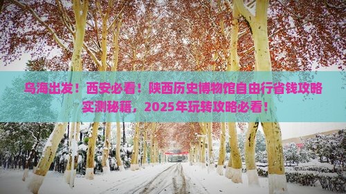 乌海到西安陕西历史博物馆自由团