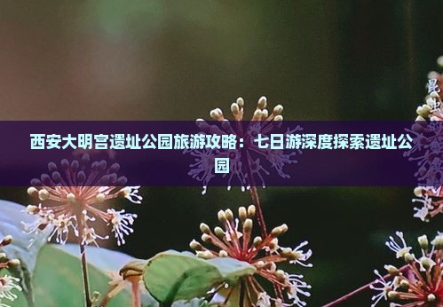 阿泰勒到西安大明宫国家遗址公园七日游