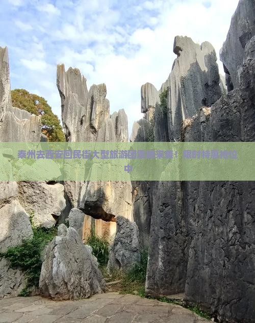 泰州去西安回民街大型旅游团
