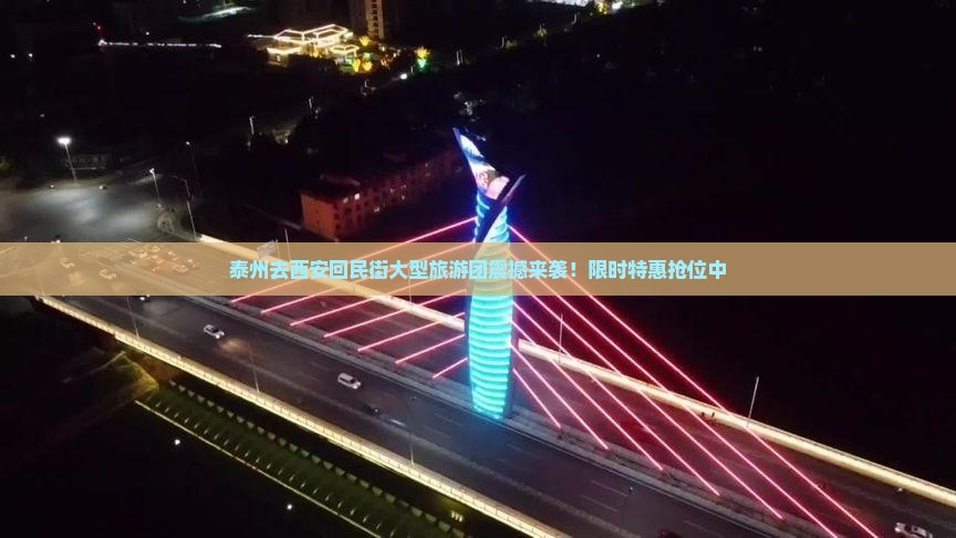 泰州去西安回民街大型旅游团