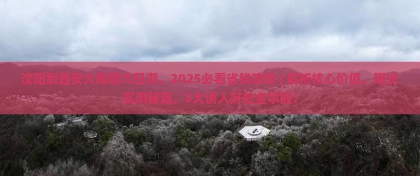 沈阳到西安大雁塔六日游