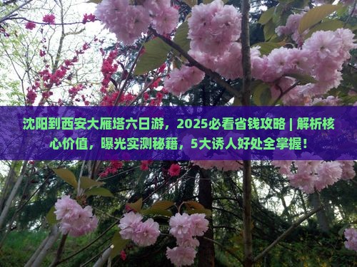 沈阳到西安大雁塔六日游