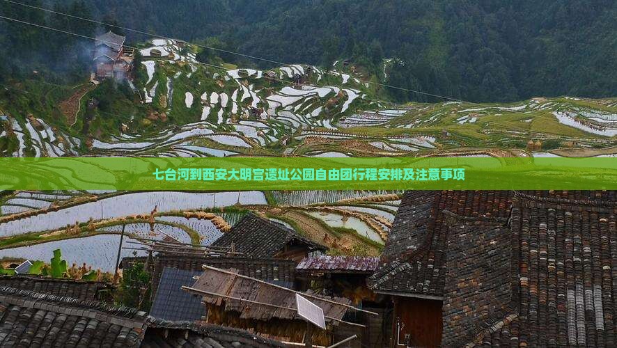 七台河到西安大明宫国家遗址公园自由团