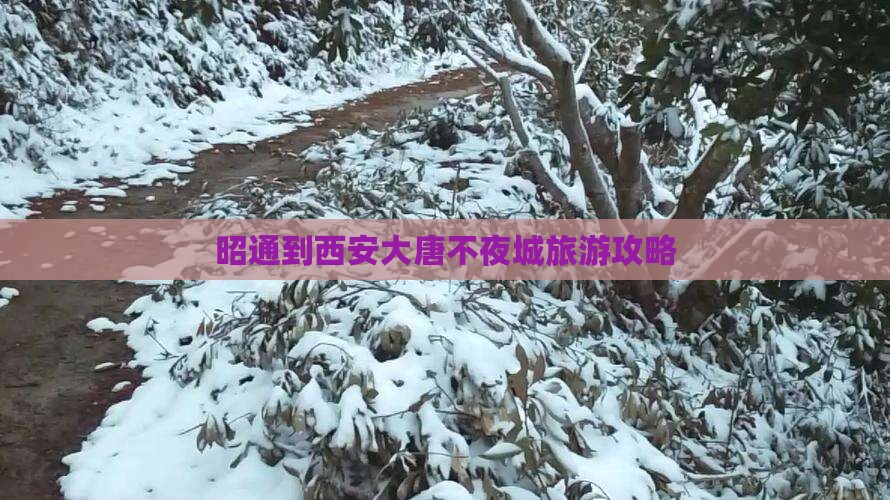 昭通到西安大唐不夜城旅游