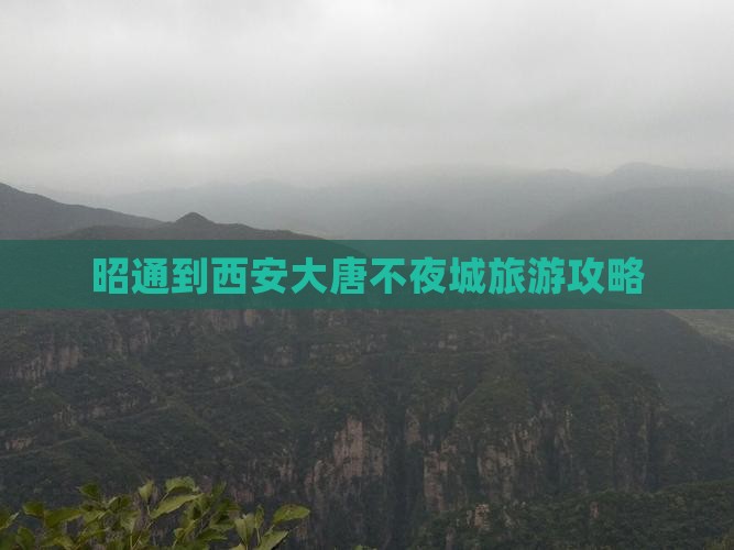 昭通到西安大唐不夜城旅游