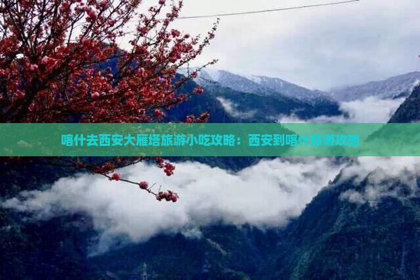 喀什去西安大雁塔旅游小吃